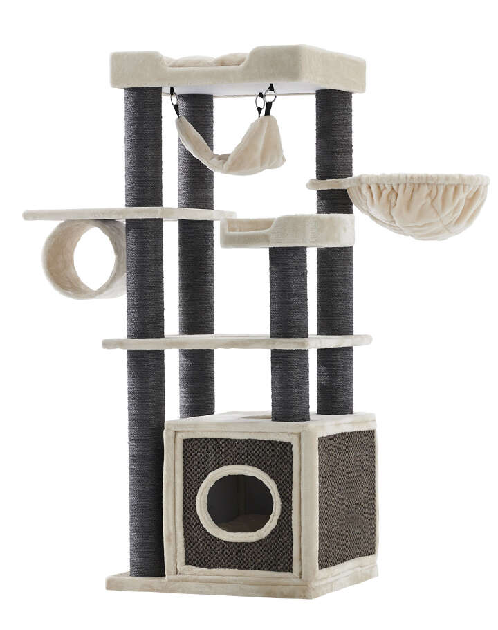 Nobby Kratzbaum Faris